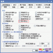 ���Word2003�򿪳�ƪͼ���ٶ�